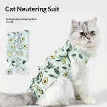 Load image into Gallery viewer, Pet Neutering Suit Cat Postoperative Recovery Clothes Anti-Licking Adjustable Wound Protective Clothing Pet Supplies
