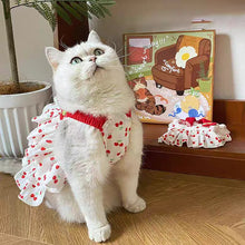 Load image into Gallery viewer, Pet Dress for Dogs &amp; Cats - Layered Cake Style Printed Clothes, Small Medium Breed Apparel, Adorable Summer Outfit
