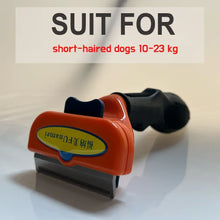 Load image into Gallery viewer, Dog Brush Grooming Accessories Pet Hair Knotting Remover Large Dogs Cat Short Long Hair Anti Lice Combs Cat Hair Care Supplies
