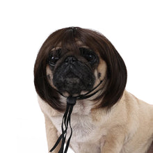 Load image into Gallery viewer, Pet Wigs Cosplay Props Dog Cat Cross-Dressing Hair Set Photography Funny Props Head Accessories Prank Pet Supplies Costumes DIY
