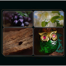 Load image into Gallery viewer, Perfume Spray,Coffee Vanilla Floral Fruity Women Scent,Owl Queen Citrus/Peony/ Jasmine/Musk/Sandalwood/Patchouli Fragrance Mist
