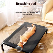 Load image into Gallery viewer, Elevated Dog Bed All Season Outdoor Indoor Waterproof Chew Proof Raised Pet Cot Large Small Dogs Dog Beds Pet Accessories

