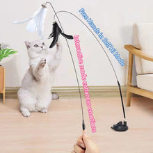 Load image into Gallery viewer, Interactive Cat Toy Handfree Cat Stick Playing Kitten Playing Teaser Wand Toy Suction Cup Bird/Feather Cat Wand Pet Supplies
