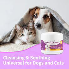 Load image into Gallery viewer, 1-Pack Gentle Pet Eye Wipes - Plant Extracts No Irritation Tear Stain Remover for Cats Dogs Portable Eye Care Essentials
