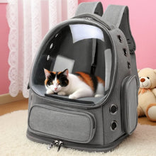 Load image into Gallery viewer, Transparent Pet Carrier Backpack Outdoor Travel Essential for Cats Small Dogs Breathable Design Comfortable Premium Pet Supplies
