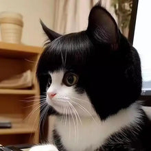 Load image into Gallery viewer, Cat Wig Accessories Dog Headdress Funny Costume Puppy Cosplay Dress Up Cute Pet Wig Cosplay Funny Props Head Accessories
