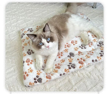 Load image into Gallery viewer, Flannel Pet Sleeping Mat Dog Bed Cat Litter Puppy Bed Dog Sofa Lovely Mattress Cushion for Small Large Dog Blanket For Winter
