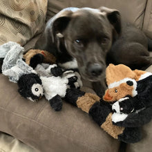 Load image into Gallery viewer, Funny Simulated Animal No Stuffing Dog Toy with Squeakers Durable Stuffingless Plush Squeaky Dog Chew Toy Crinkle Pet Squeak Toy
