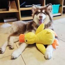 Load image into Gallery viewer, Dog sleeping with a dog hug duck toys to relieve boredom of little yellow duck pet interactive plush doll pet supplies
