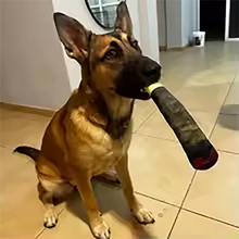 Load image into Gallery viewer, Funny Interactive Dog Toys Cigar Design Plush Squeaky Pet Toys Grinding Teeth Creative Chew Cool Stuffed Gifts for Dog Birthday
