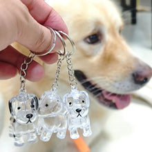 Load image into Gallery viewer, Transparent Cute Dog Pendant Keychain Creative Pet Hair Storage Capsule Hanging Ornament for Pet Lover DIY Pet Memorial Keychain
