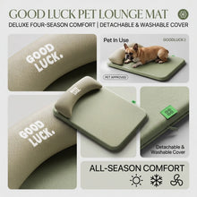 Load image into Gallery viewer, New Pet Bed with Pillow Removable and Washable Pet Mats All-Season Soft Cushion for Dogs and Cats Pet Supplies

