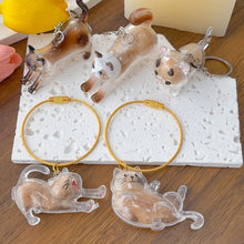 Load image into Gallery viewer, New Cat Hair Storage Keychain Bag Pendant Transparent Pet Fur Keepsake Capsule Souvenir Collection Gift Decoration Accessories
