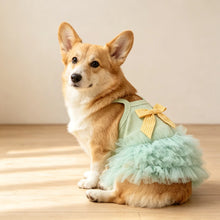 Load image into Gallery viewer, 1pc Summer breathable pet dress, paired with checkered bow camisole skirt, sleeveless vest, cat and dog clothing
