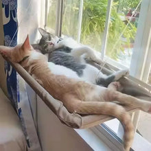 Load image into Gallery viewer, Suction Cup Window Hammock Bed
