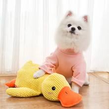Load image into Gallery viewer, Dog sleeping with a dog hug duck toys to relieve boredom of little yellow duck pet interactive plush doll pet supplies
