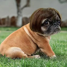 Load image into Gallery viewer, Pet Wig Accessories Dog Headdress Funny Costume Puppy Cosplay Dress Up Cute Pet Wig Cosplay Funny Props Head Accessories
