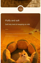 Load image into Gallery viewer, Petal Shaped Pet Bed, Plush Round Dog &amp; Cat Cushion Mat with Knitted Texture, Ultra Soft Warm Nest for Kittens Puppies in Winter
