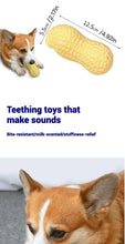 Load image into Gallery viewer, Pet Toys TPR Simulation Peanut Sound Toy Vegetable Series Dog Toys Dog Play Interactive Teeth Grinding Pet Supplies
