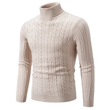 Load image into Gallery viewer, Slim Solid Turtleneck Pullover
