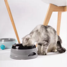 Load image into Gallery viewer, Non-Slip Floating Design Water Bowl
