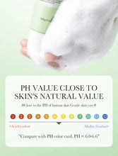 Load image into Gallery viewer, Salicylic Foam Facial Cleanser Wash
