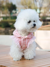 Load image into Gallery viewer, Dog clothes Princess Dress &amp; Jacket For Pets, Suitable For Poodle, Maltese, Yorkshire Terrier In Spring And Autumn
