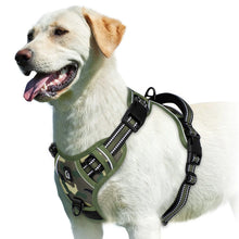 Load image into Gallery viewer, Easy Control Handle No-Pull Vest
