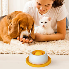 Load image into Gallery viewer, Pet Feeding Accessories Dog Treat Toy Puzzle Toys For Bored Puppy Slow Feeder Puppy Supplies For Healthy Eating Food Crate
