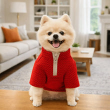 Load image into Gallery viewer, Zipper Ripple Pet Pullover Hoodie
