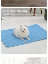Load image into Gallery viewer, Pet Ice Mats Summer Cat Dog Sofa Nest Bed Cooling Sleeping Pad for Small Dogs Pets Durable Sofa Cooling Pad Blanket
