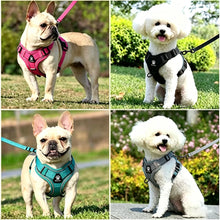 Load image into Gallery viewer, Harness and Leash Set Pet Accessories Dog Harness For Small Dog French Bulldog Pug Pitbull Puppy Pectoral Collar Chiens Supplies
