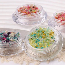Load image into Gallery viewer, Nail Art Dried Flower Decoration Nail DIY Manicure For Nails Art Jewelry Flower Beauty Salon Decoration E3C5
