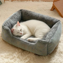 Load image into Gallery viewer, Bed for Cats Pet Products Cushions Kitten Goods Accessories Dog All Houses Supplies Things Accessory Habitats Basket House Beds
