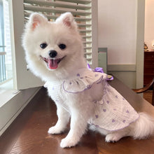 Load image into Gallery viewer, Sweet Cotton Pet Skirt Dress
