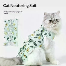 Load image into Gallery viewer, Pet Neutering Suit Cat Postoperative Recovery Clothes Anti-Licking Adjustable Wound Protective Clothing Pet Supplies
