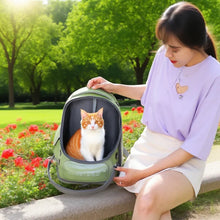 Load image into Gallery viewer, Transparent Pet Carrier Backpack Outdoor Travel Essential for Cats Small Dogs Breathable Design Comfortable Premium Pet Supplies
