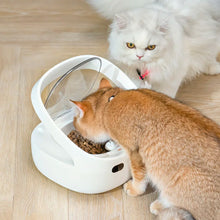 Load image into Gallery viewer, New Petoneer NutriCare Feeder Tailored For Multi-Pet Households Pet feeder Cat And Dog Feeder With App
