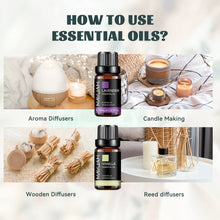 Load image into Gallery viewer, MAYJAM 10ML Essential Oil Lavender Jasmine Eucalyptus Vanilla Sandalwood Bergamot Rosemary Citronella Cinnamon Fragrance Oil
