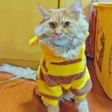 Load image into Gallery viewer, Bee Pet PUppy Coat Apparel Outfit Fleece Clothes Dog Cat Hoodies Fancy Costume Halloween Cosplay Sweater Dog Winter Warmth Hoodi
