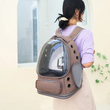 Load image into Gallery viewer, Transparent Pet Carrier Backpack Outdoor Travel Essential for Cats Small Dogs Breathable Design Comfortable Premium Pet Supplies
