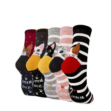 Load image into Gallery viewer, Playful Cat Crew Sock Pack
