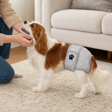 Load image into Gallery viewer, Pet Physiological Pants Female Dog Anti‑Dirty Anti‑Harassment Sanitary Pants Comfortable Breathable Teddy Bichon Universal
