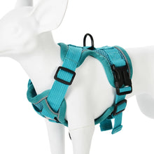 Load image into Gallery viewer, Harness and Leash Set Pet Accessories Dog Harness For Small Dog French Bulldog Pug Pitbull Puppy Pectoral Collar Chiens Supplies
