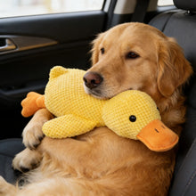 Load image into Gallery viewer, Dog Toys Durable For Biting And Teething Make Sounds To Relieve Boredom Plush Sleeping Small Medium-Sized Pet
