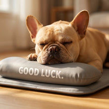 Load image into Gallery viewer, New Pet Bed with Pillow Removable and Washable Pet Mats All-Season Soft Cushion for Dogs and Cats Pet Supplies
