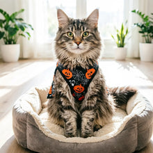 Load image into Gallery viewer, Funny Cosplay Pet Party Vest
