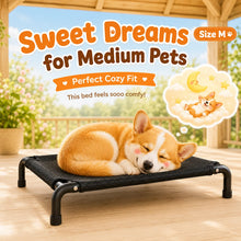 Load image into Gallery viewer, Elevated Pet Bed for Dogs, Washable Dog Bed for Small, Medium, Large &amp; XL Puppies, Breathable Mesh Dog Bed
