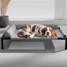 Load image into Gallery viewer, Pet Furniture Mesh Elevated Dog Beds Breathable Removable Raised Dog Bed with Pillow Outside Dog Bed Cat Patio Sunbathing
