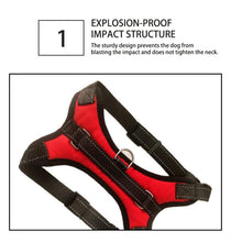 Load image into Gallery viewer, Quick Release Breathable Puppy Harness

